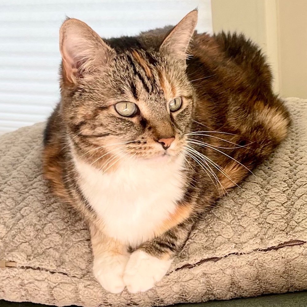 Meet your Posher, Emma